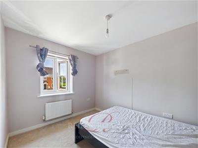 Picture 15